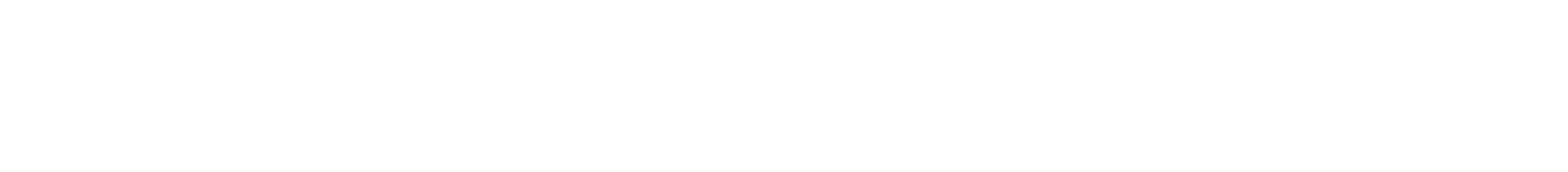 Roof Repair Authority